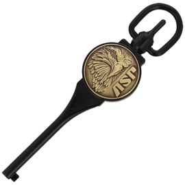 ASP Guardian G1 Handcuff Key with ASP Logo No 01, Black Chrome (56301)