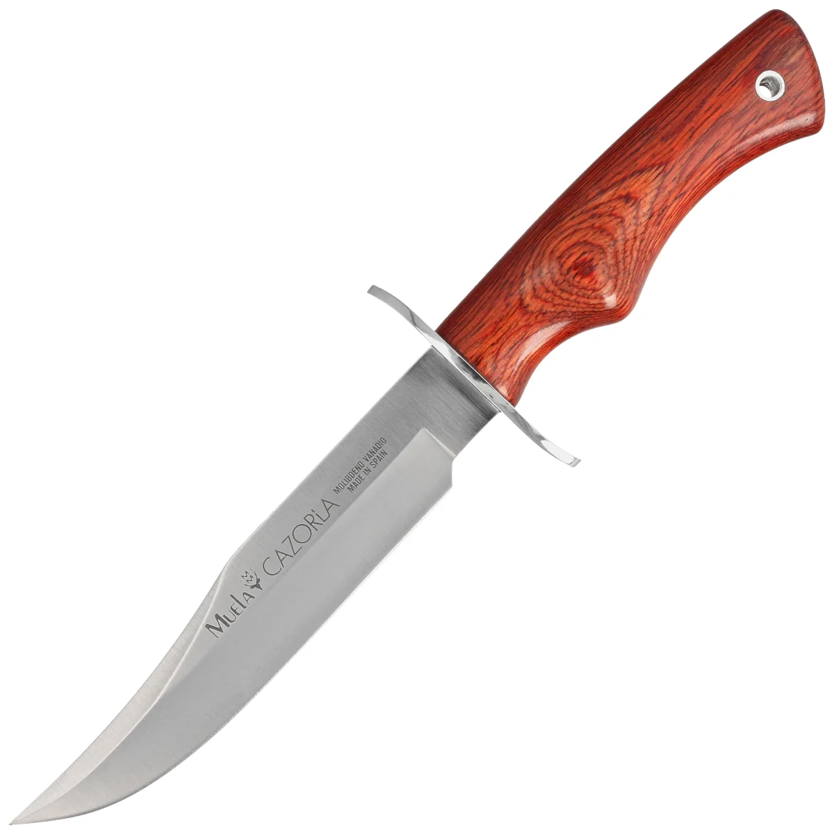 Muela CAZ-16R PakkaWood Knife, Satin X50CrMoV15