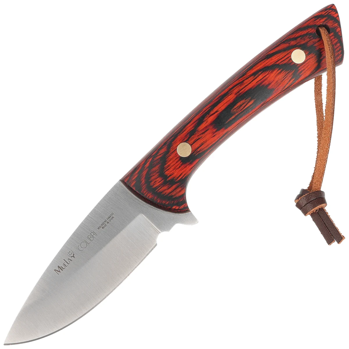 Muela Colibri COL-9.R Knife Coral Pakka Wood, Satin X50CrMoV15