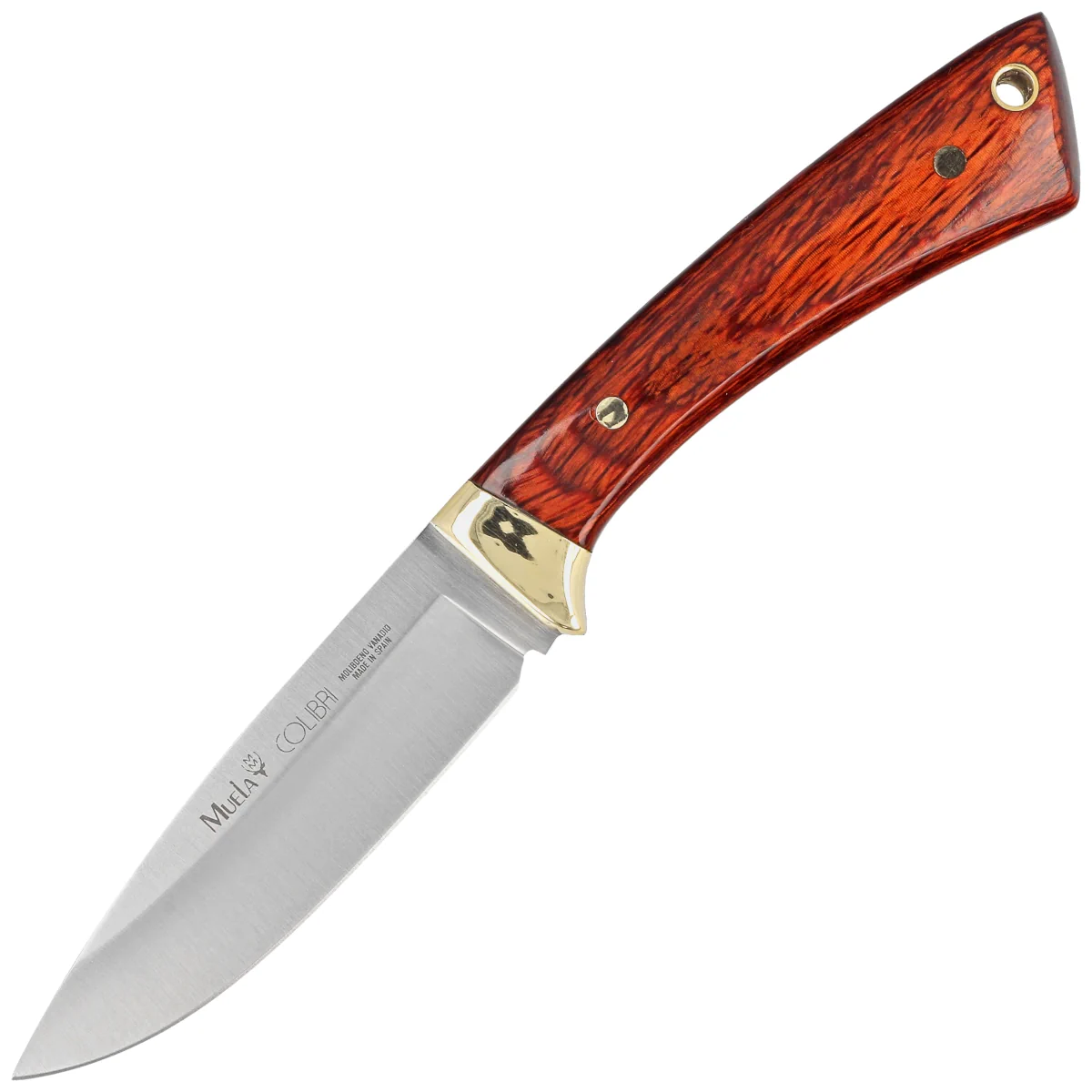 Muela Colibri COL-9M Pakka Wood Knife, Satin X50CrMoV15