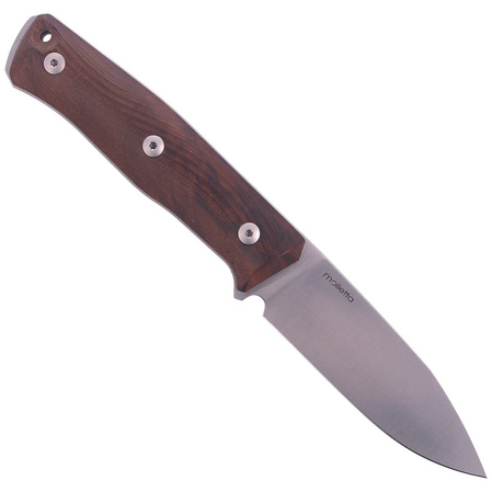 LionSteel Bushcraft Walnut / Fixed Satin Blade (B35 WN)