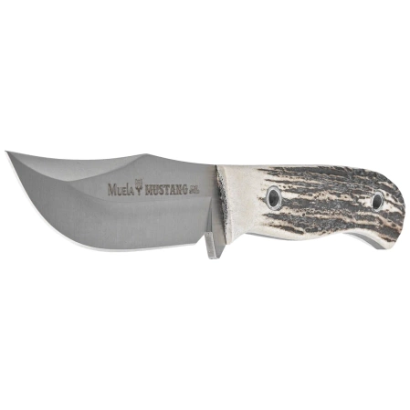Muela Mustang-8A Knife Red Deer Stag, Satin X50CrMoV15