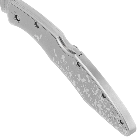 Spyderco Police Model Stainless Steel PlainEdge Knife (C07P)