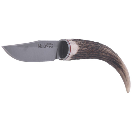 Nóż na szyję Muela Deer Stag Neck Knife, Satin 1.4116 (BW-6.C)