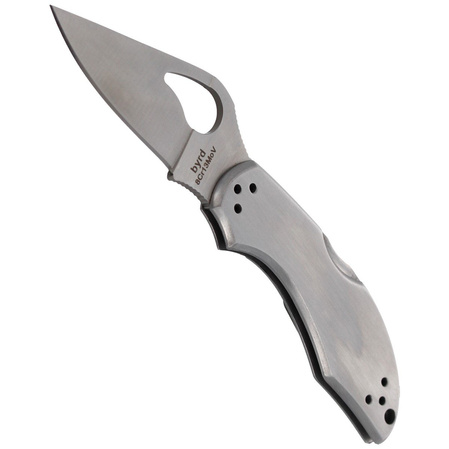 Spyderco Byrd Robin 2 Stainless, PlainEdge (BY10P2)