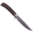 Muela Gredos Dear Stag, Satin X50CrMoV15 Knife (GRED-12A)