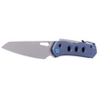 WE Knife Vision R Blue Titanium, Silver Bead Blasted CPM 20CV by Snecx Tan (WE21031-3)
