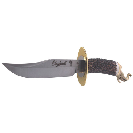 Muela Knife Big Five Deer Stag, Satin 1.4116 Gift Box (ELEPHANT-16BF)