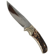 Muela Full Tang Knife with Dear Stag, Mirror 1.4116 (SETTER-11A)