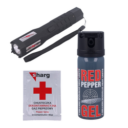 Zestaw Paralizator + Gaz pieprzowy + Chusteczka