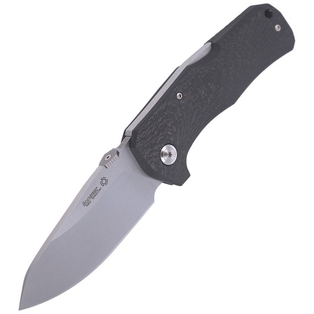 LionSteel TM1 Carbon Fiber, Satin Sleipner by Molletta (TM1 CS)